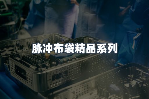 脉冲布袋精品系列