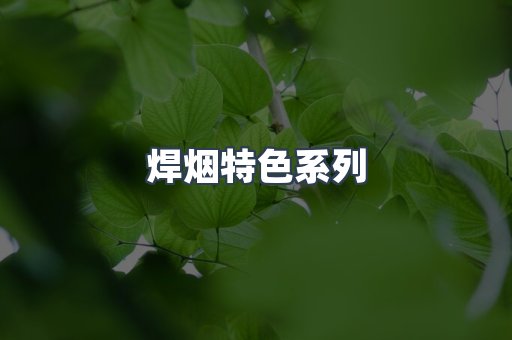 焊烟特色系列