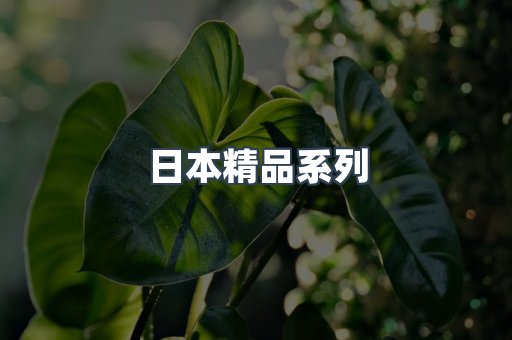 日本精品系列